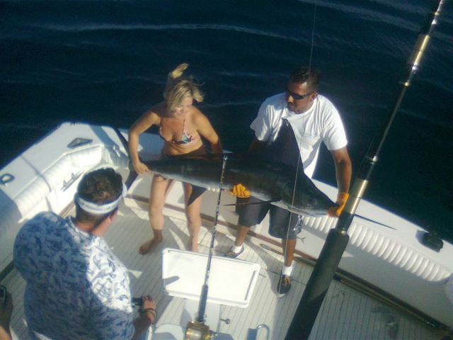 Marlin negro pescado